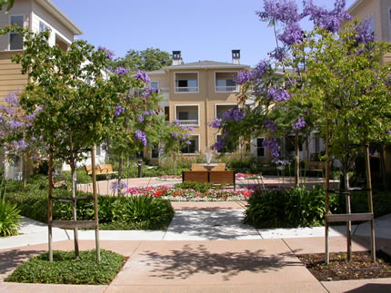Sienna Senior Living Community